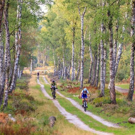Chalet Op De Veluwe # Beuk Putten Zewnętrze zdjęcie