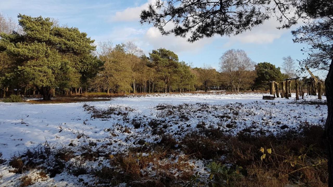Chalet Op De Veluwe # Beuk Putten Zewnętrze zdjęcie