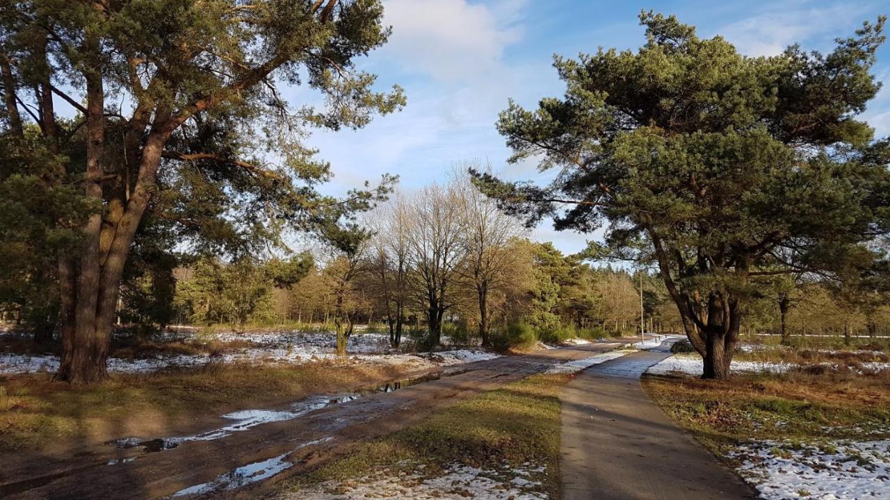 Chalet Op De Veluwe # Beuk Putten Zewnętrze zdjęcie