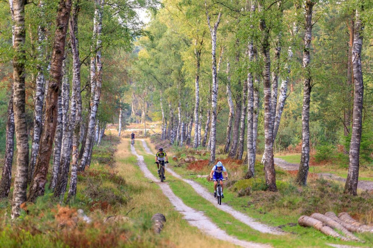 Chalet Op De Veluwe # Beuk Putten Zewnętrze zdjęcie