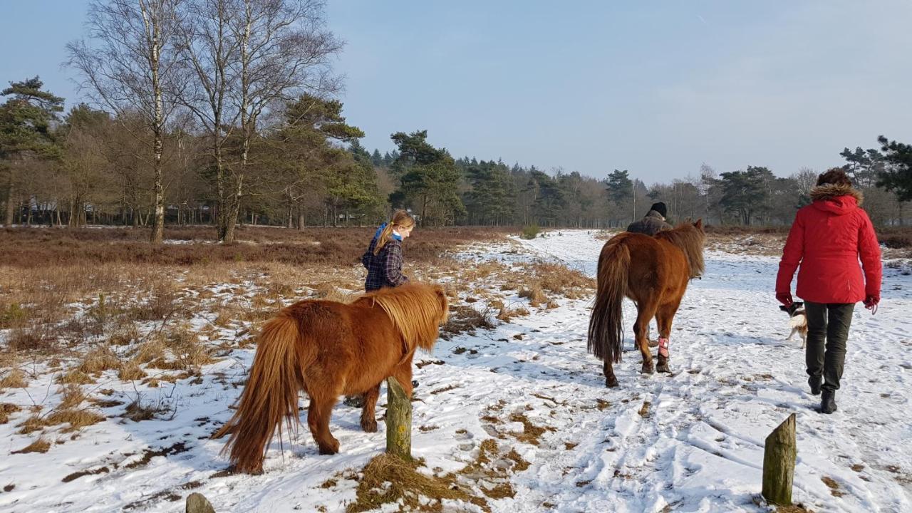 Chalet Op De Veluwe # Beuk Putten Zewnętrze zdjęcie