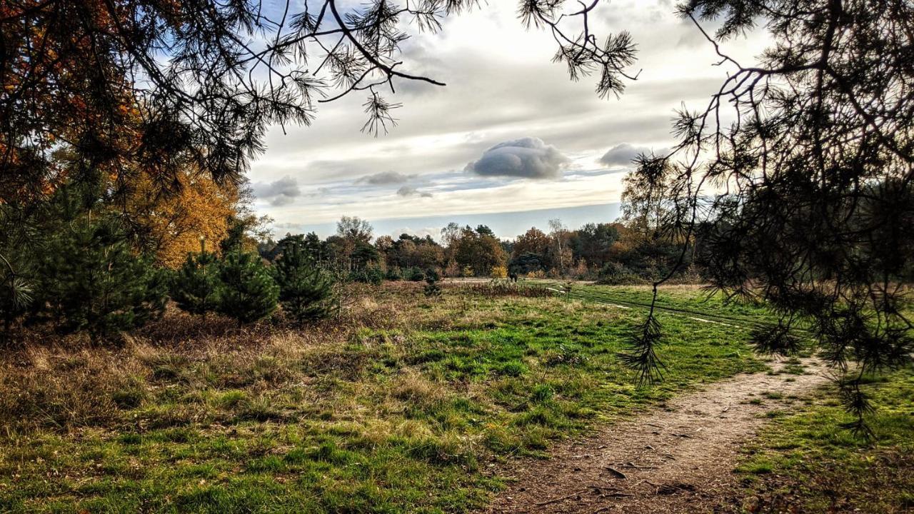 Chalet Op De Veluwe # Beuk Putten Zewnętrze zdjęcie